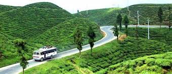Illam